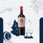 Rượu vang đỏ Chile - Aliwen Reserva Cabernet Sauvignon Undurraga